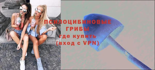 гашик Зеленокумск
