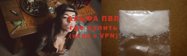 гашик Зеленокумск