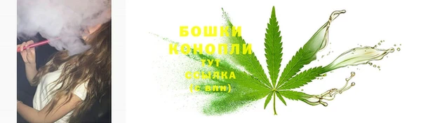 гашик Зеленокумск
