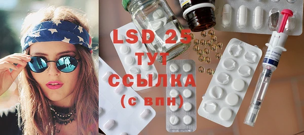 гашик Зеленокумск
