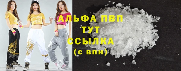 гашик Зеленокумск