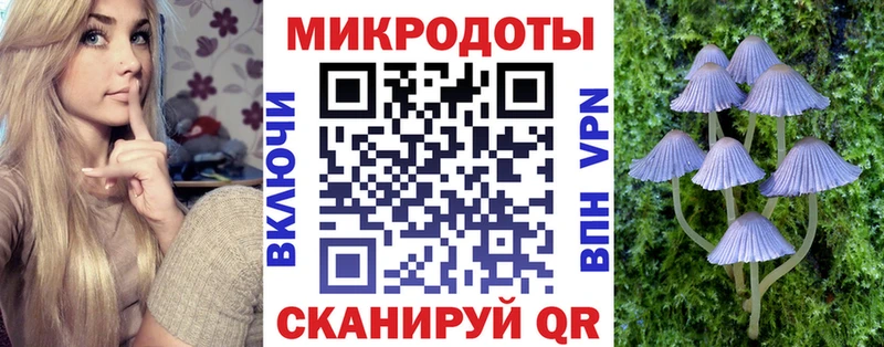 Галлюциногенные грибы Psilocybe Купить где Добрянка
